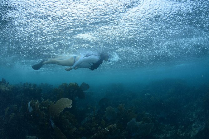 Snorkel, ATV, Zipline and Cenote Adventure from Cancun - Cenote swim and cave-style jumping: staying cool in real limestone