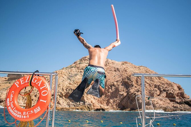 Snorkel Cruise in Los Cabos - Boarding The Marina Scene: Where the half-day starts