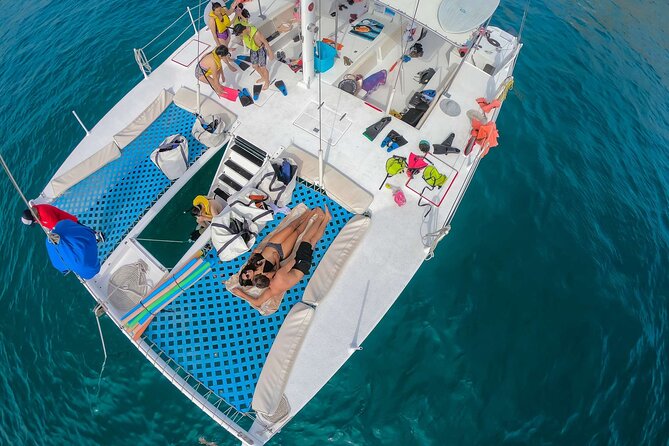Snorkel Cruise in Los Cabos - Swimming with the whales in mind: what to do if spotting happens