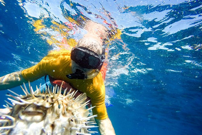 Snorkel & Explore Pelican Rock by Glass Boat + Photos - Price and value: is $125 fair for what you get?