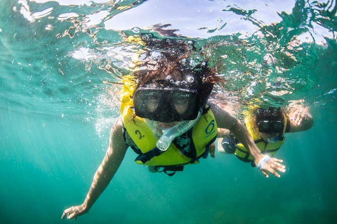 Snorkel, Lunch & Sail in Cabo San Lucas - Comfort, Safety, and What to Pack for a Choppy Day