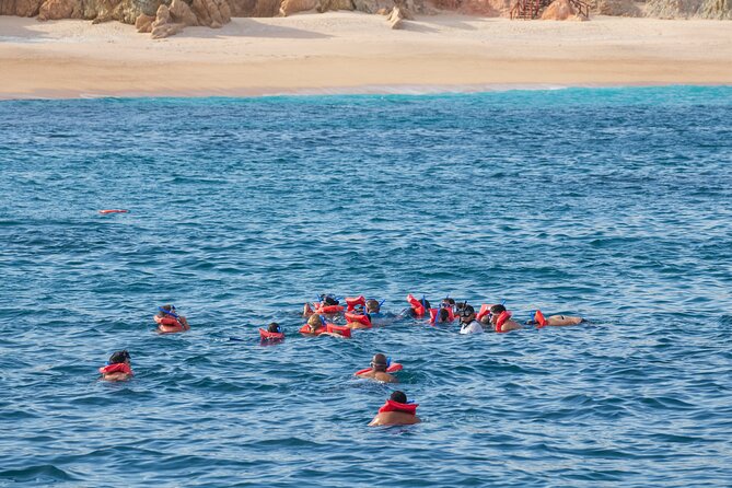 Snorkel & Sunset Sail in Cabo San Lucas - The sunset sail and Mexican dinner: where the vibe really clicks