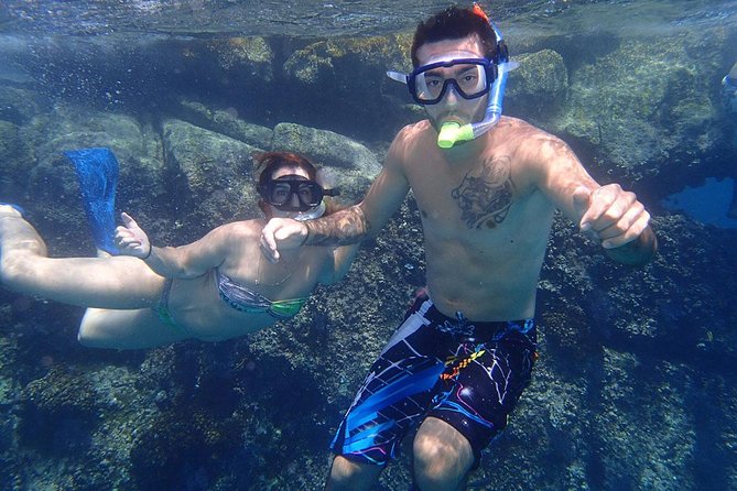 Snorkel Tour and Glass-Bottom Boat Ride in Cabo San Lucas - Why this glass-bottom boat and snorkel combo makes sense in Los Cabos