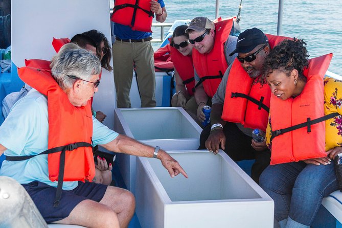 Snorkel Tour and Glass-Bottom Boat Ride in Cabo San Lucas - What the boat trip feels like in motion, and how the guides change the experience