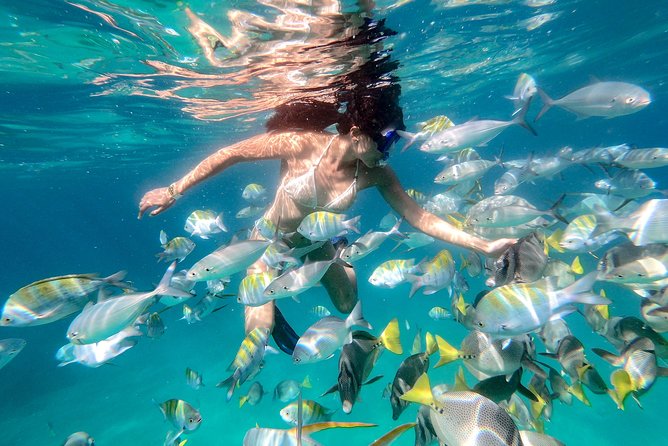 Snorkel Tour and Glass-Bottom Boat Ride in Cabo San Lucas - Lunch and downtime: the included box meal on a half-day schedule