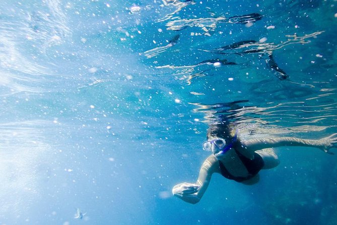Snorkel Tour and Glass-Bottom Boat Ride in Cabo San Lucas - Who this tour fits best, and who should rethink it
