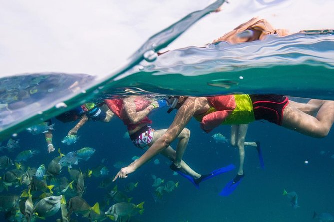 Snorkel Tour and Glass-Bottom Boat Ride in Cabo San Lucas - Glide past El Arco and Land’s End while your guide narrates the coast