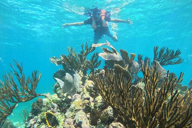 Snorkel Tour on the Costa Maya with experienced Guid - Where You Meet in Mahahual (and how to find your stand fast)