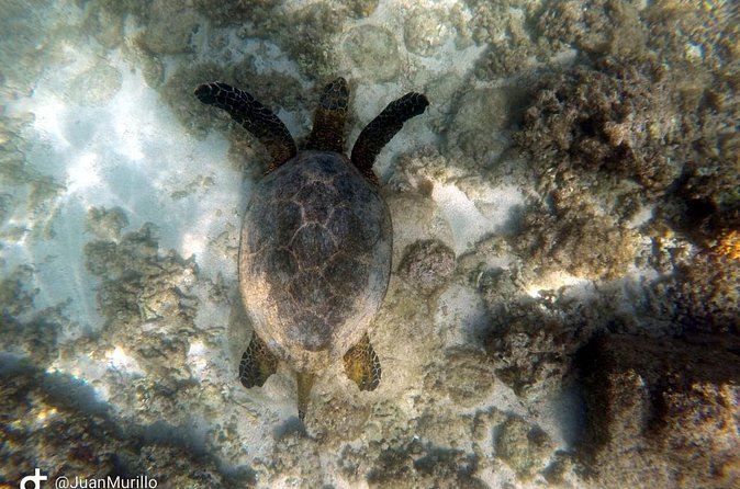 Snorkeling Adventure Cabo Pulmo - The Route Out to Cabo Pulmo: Expect Some Adventure