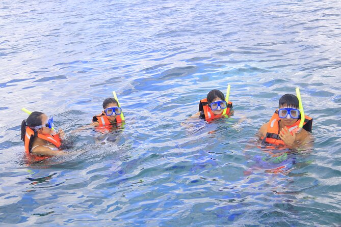 Snorkeling Adventure in Puerto Morelos Includes snack, Water and Round Trip. - Price and Value: When $44.25 Turns Into a Good Deal