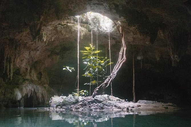 Snorkeling Adventure Tour Reef & Cenote - Guides and group size: when it feels personal, and when it can go wrong