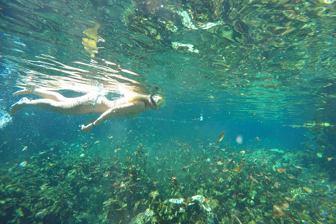 Snorkeling Adventure Tour Reef & Cenote - What you can bring, what the reef rules are, and what to buy on site
