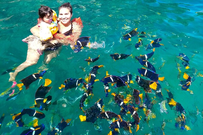Snorkeling at Los Arcos 5 islands Hidden Beach and Cliff Jumping - Hidden Beach by Boat: The Calm Finish You’ll Remember
