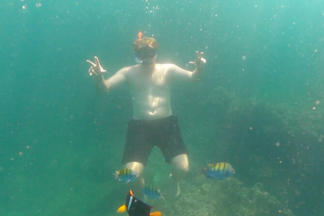 Snorkeling at Los Arcos 5 islands Hidden Beach and Cliff Jumping - What’s Included, What Isn’t, and What That Means for Value