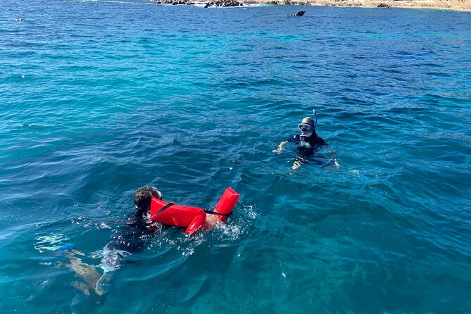 Snorkeling en San José del Cabo , Lunch , Snack , Drinks - Key highlights to look for before you go