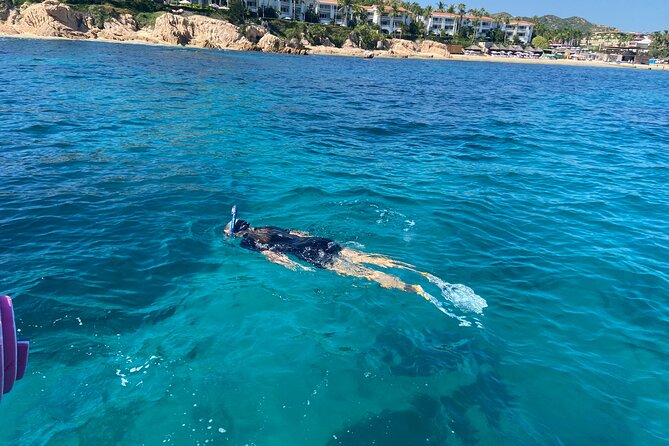 Snorkeling en San José del Cabo , Lunch , Snack , Drinks - The boat ride from San Jose del Cabo: views plus marine talk