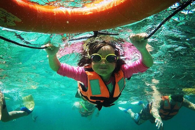 Snorkeling Guided Activity in Puerto Morelos Mexico - What happens during the tour, in plain English
