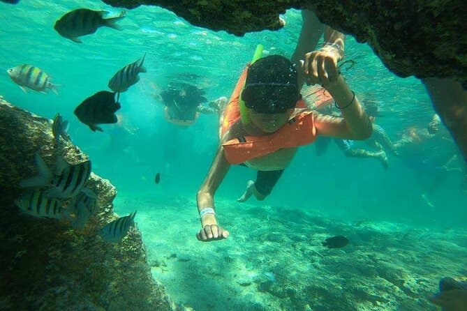 Snorkeling in Isla Mujeres and Underwater Museum - Price and value: what you really pay on the island