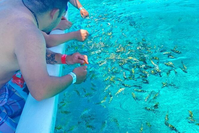 Snorkeling in Isla Mujeres and Underwater Museum - Stop 1: Lighthouse Reef snorkeling, what to expect in the water