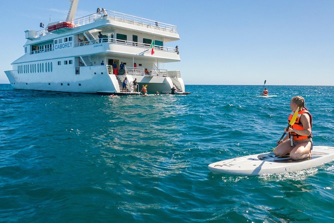 Snorkeling tour in Cabo San Lucas - Cabo San Lucas Snorkeling, Chileno Bay First, El Arco in Sight