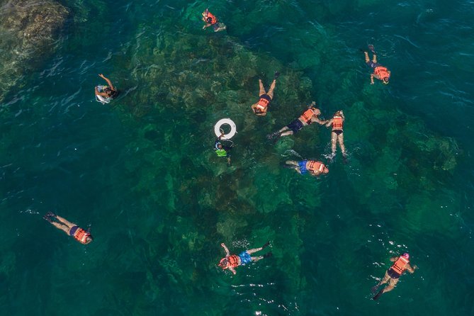 Snorkeling tour in Cabo San Lucas - Chileno Bay Snorkeling: Fish, Rocky Reefs, and Real Expectations