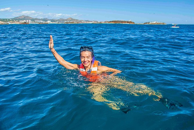 Snorkeling tour in Cabo San Lucas - Whale Sightings Can Happen on the Route