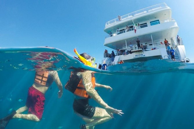 Snorkeling tour in Cabo San Lucas - Meeting at Caborey, What the Start Feels Like