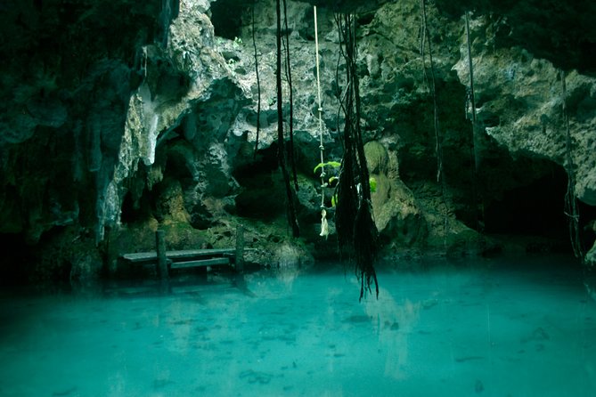 Snorkeling with Caribbean fish and private cenote exploration - The Tulum ruins stop, for quick context without stealing the show