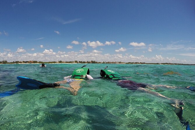 Snorkeling with Caribbean fish and private cenote exploration - How the cenote cave walk turns the day into a story
