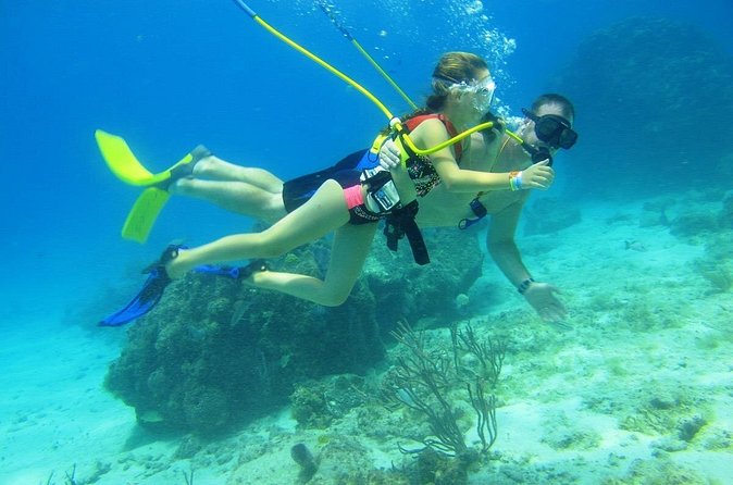 SNUBA Cozumel Underwater Adventure inside Chankanaab National Park - The heart of the experience: your SNUBA session at Chankanaab Reef