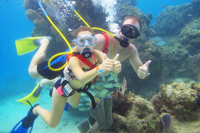 SNUBA Cozumel Underwater Adventure inside Chankanaab National Park - Meeting at Chankanaab Beach Adventure Park: what to expect on arrival