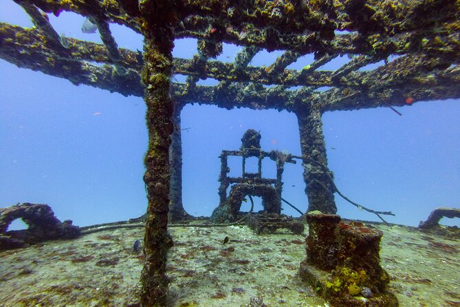 SPECIAL!! 2 Tank Wreck & Drift Reef dives - Price And Value: Why $125 Can Make Sense