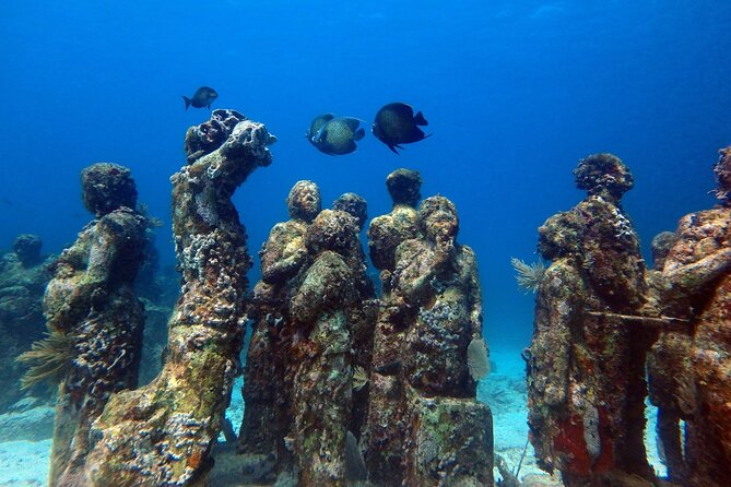 SPECIAL! Snorkel at MUSA - The Underwater Museum Reservation - How the Schedule Feels in Real Life (Half Hours Add Up)