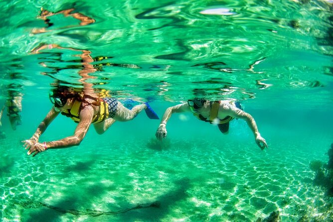 Speedboat across the Mangroves & Snorkel with Jet Ski Rental - Lunch, tacos, tequila, and small add-ons