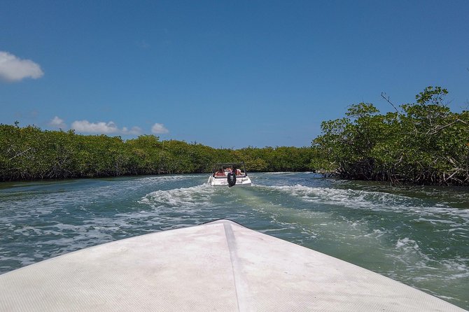 Speedboat and snorkel tour: Single Passenger Boat - Driving in Cancun water, without needing boating experience