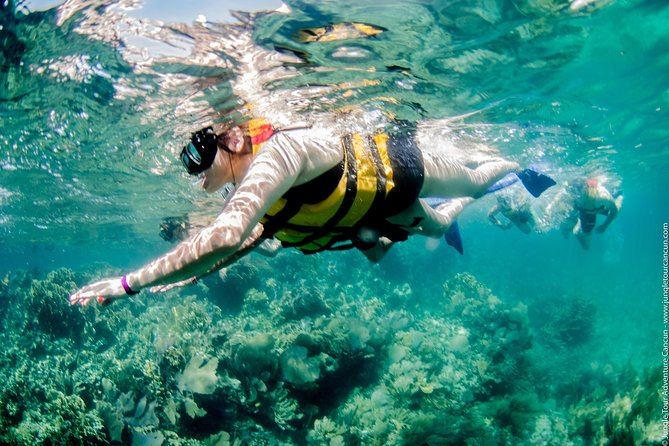 Speedboat and snorkel tour: Single Passenger Boat - Cancun Underwater Museum: art you see from the waterline