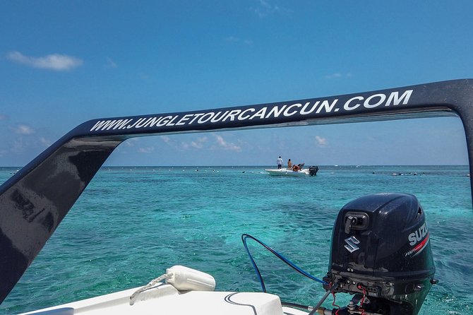 Speedboat and snorkel tour: Single Passenger Boat - The single passenger boat experience (and why it works)