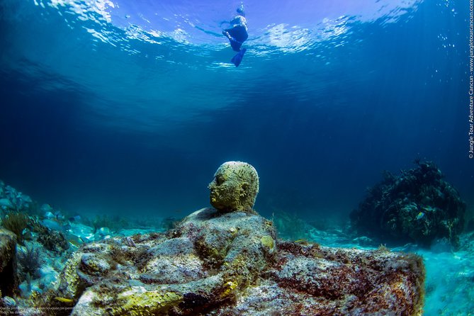 Speedboat and snorkel tour: Single Passenger Boat - Price and value: what you pay and what it really covers