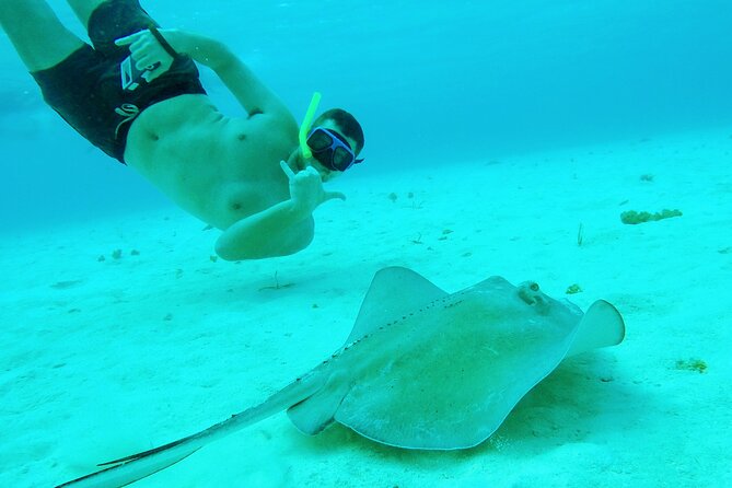 Starfish, Stingrays and the Turtle Sanctuary Snorkel Tour - Drinks and snack: the real break between swims