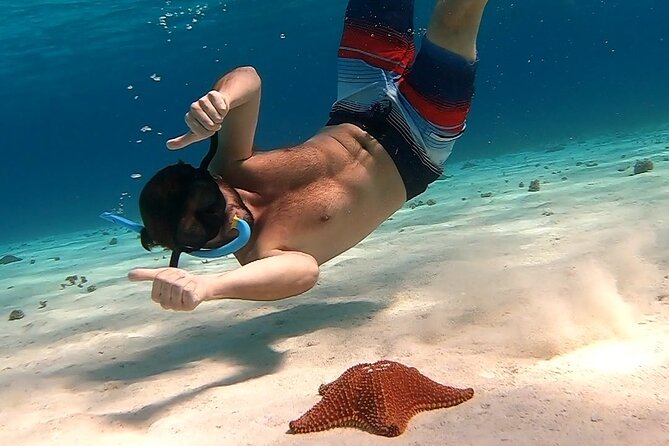 Starfish, Stingrays and the Turtle Sanctuary Snorkel Tour - What the boat and gear setup means once you are wet
