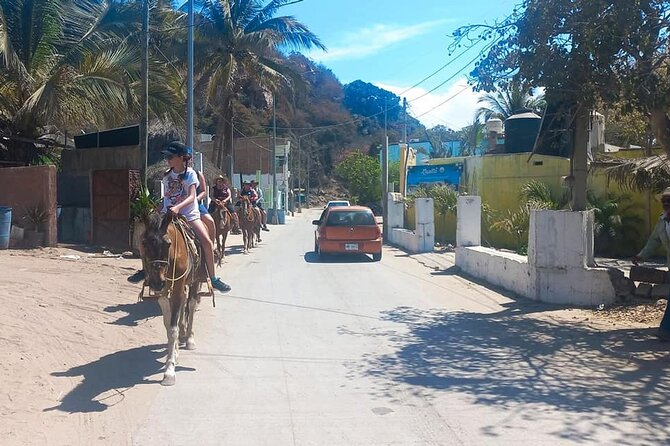 Stone Island Beach Getaway - Transfers and timing: what makes cruise days easier