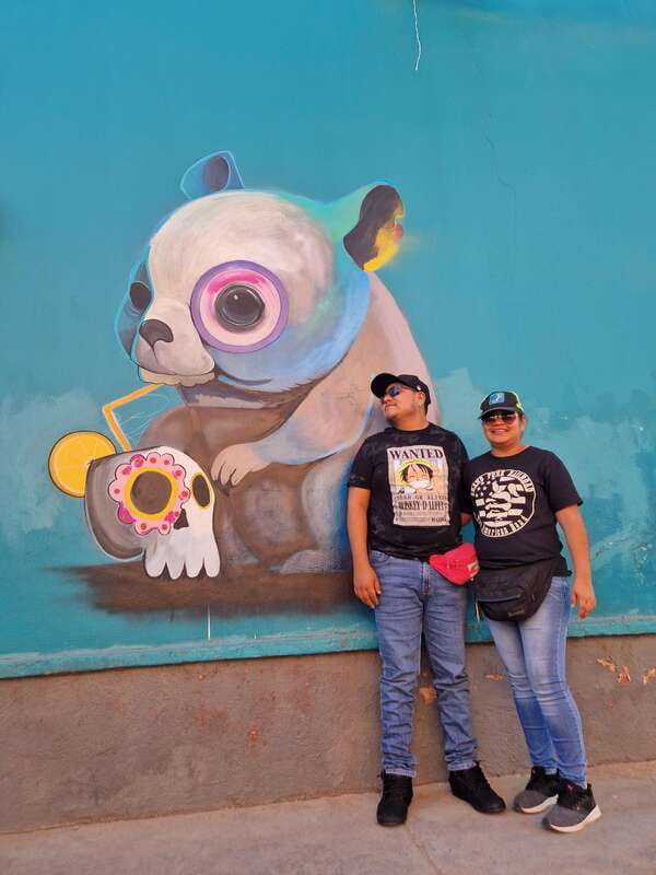 Street Art with an artist - Meeting at the cross monument, then walking into the real Oaxaca