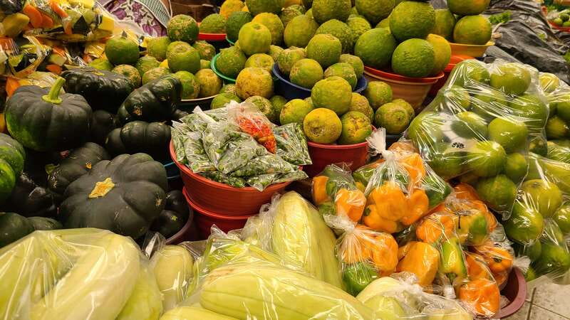 Street Food Walking Tour in Merida - Entering Mérida Through Food, Not Photos
