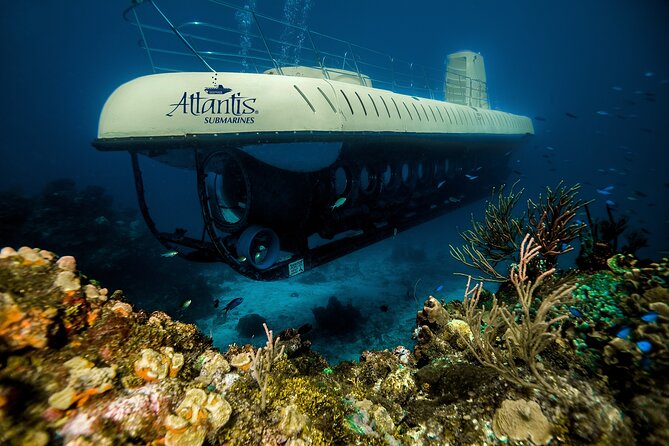 Submarine Atlantis Cozumel Adventure by Day & Sunset - The Cozumel “bonus”: the Felipe Xicoténcatl artificial reef