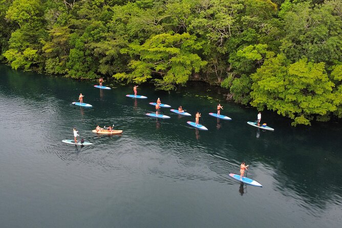 Sunrise by Paddle or Kayak with Floating Picnic - What You Pay for: Price, Inclusions, and Real Value in 3 Hours