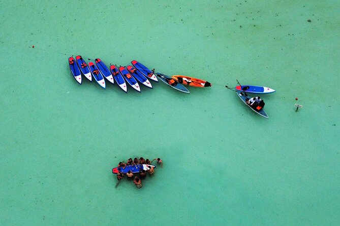 Sunrise by Paddle or Kayak with Floating Picnic - Should You Book This Sunrise Paddle and Floating Picnic?