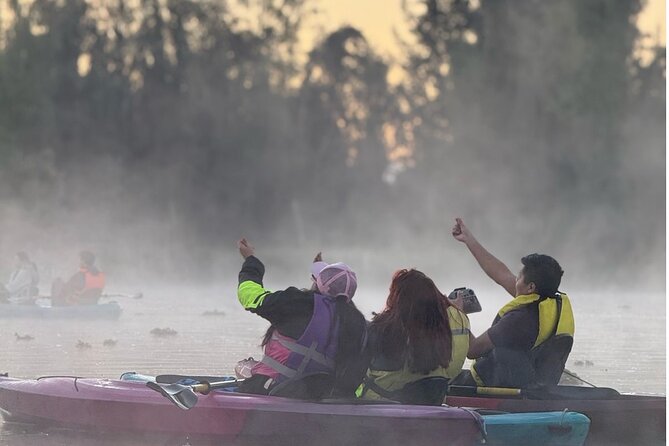 Sunrise Kayak Tour in Xochimilco - Price around $28.68: is it good value for your morning?