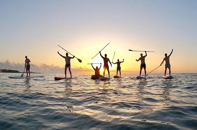 Sunrise Paddle Surf - Who should book Sunrise Paddle Surf in Playa del Carmen?
