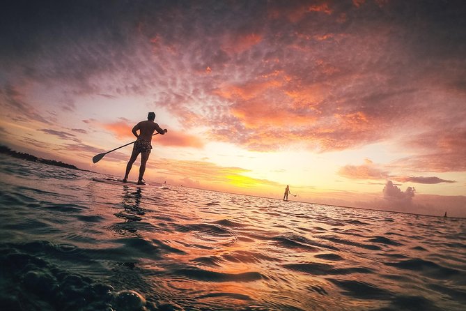 Sunrise Session - The #1 Paddleboard Tour On The Caribbean Sea - Beginner Coaching That Feels Real, Not Scripted