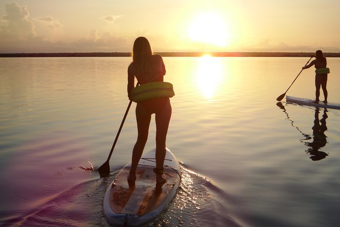 Sunrise Tour (Stand Up Paddle or Kayak) - Safety, English/Spanish Guidance, and Small Group Attention